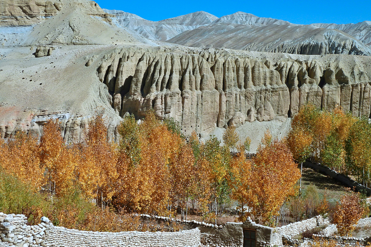 Best Trek Nepal